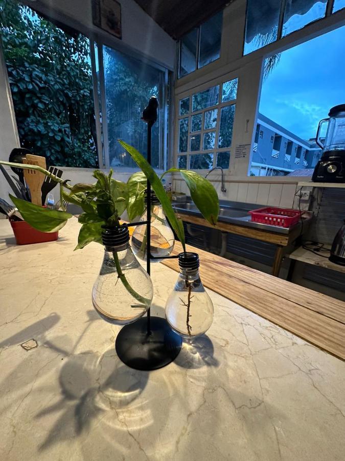 フロリアノポリス Casa Andaluciaホステル エクステリア 写真